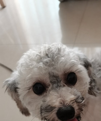 һ���ɫ���������