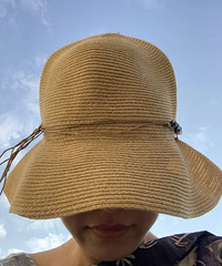 ɹ̫������ģ�����ɹ����