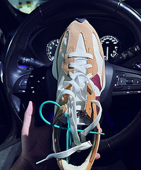 ����һ˫������Ƚ�ϲ����Ь