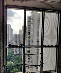 ʯƺ38ƽַװ֤СƾɵϮ