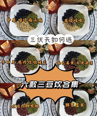 ���������������غȵ�������������