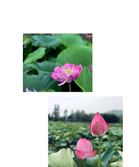 7月31日,是我出院的第一天