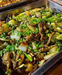 ÿ��ȥ������˶���ˣֻ���ҵ��ص㶼�ڳԳԳ���