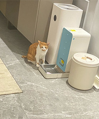 92����3ֻè����������飬�Լ�������