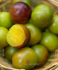 �������Щ�óԵ����˽о���ˮ����Խ��Խ��ͷ