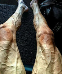 ְҵ�˶�Ա�Ŀֲ�����һ����֪