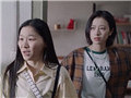 这部都市剧太真实了