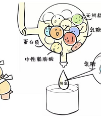 到底母乳是有多神奇,为什么鼓励喂到两岁以上