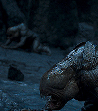 ��������֮���ϳ�ȡ���Ч���Ų���