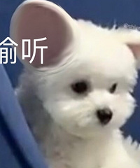 ���󻨺Ͳ�CPŮ��������������ɫ