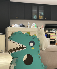 ˭˵·סͱңһˣҼұ