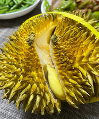 ƴϦϦˮ��yyds������60��Ľ���������ȫ�³�