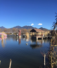 89162CMҽҩҵ211С飬ϣԷĽ