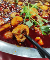 ���˴�ƺ��Һܳ����ķʳ���������û�������о���