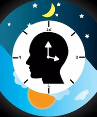 ��ȷ���һ������ܿ�����˯������˯�ߣ����˽���ҹ����