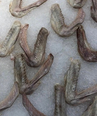 ����ĳ�Գ��������������ⶳ�⣬�ع��߻�������в