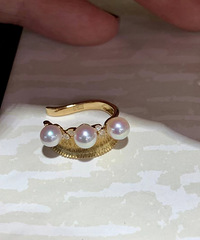 ���������akoya��Ψ��С����