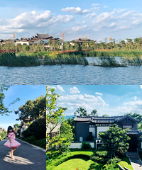 小区被封,去昆明避暑天天28度