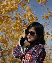 94160CMĹԱ飬ϣԷѧƼ