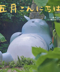 ��ɽ���Ѱ��è����