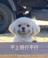 办公室新来的女同事有狐臭怎么办?