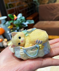 85158CMС飬ϣԷͥ޸