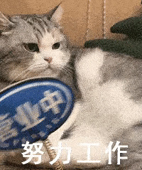 【813值得买】欧舒丹护手霜75ml两支129,古今内衣53