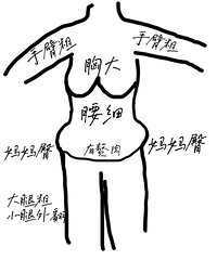 有没有同款身材的姐妹!你们都是怎么穿衣服的?!
