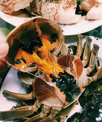 ����ĳ����ǻۣ���Щ��ŵĲ�������ֱ���˲���