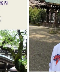 �����ѷ�����������Ʋΰݾ�������