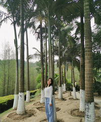 90155CMҵС飬ϣԷ̲Ⱦ