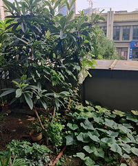 򵽳Ķַ72ƽ20ƽ¶̨ս10װ