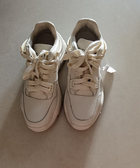 ƽ��һ˫����100��Ь�ӣ���ֱ̫����