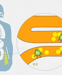 ���ص�����ʲô������ܰ������Ǽ�����