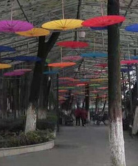 养老院以后真的是大部分人的归属吗