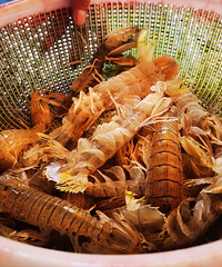 6�챱���Լ��μǣ�ȫ�̳Ժ���û���ҰȤ�Ϻ�����