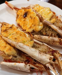 ����ĵ�һ��������֮������ʿ����