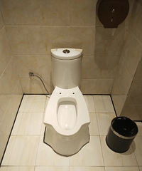 请问这个马桶怎么上?这到底是马桶还是蹲便啊?