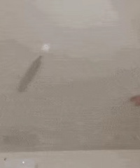 �����������÷�ɹɡ69���ղ���Ī����ɫ���±�