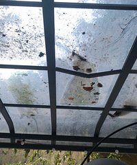 砰!一只猫把我家雨棚砸烂了,没吃没喝呆了5天