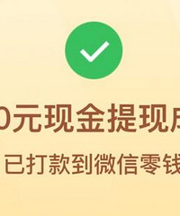 花了一个多小时,成功提现800元