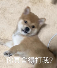 92年173CM的小哥征婚,希望对方是个善良的人