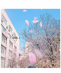单身打卡日记:康复第三周的小确幸