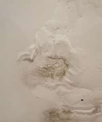好想砸墙换房!隔壁漏水,把我的墙壁全部泡霉了