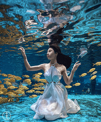去拍写真顺便体验了一把潜水,没想到我也能当美人鱼