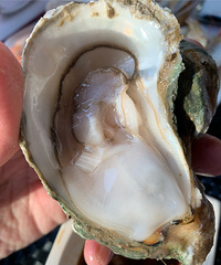 �ֳ�ֱ���򿨺��������ͣ����С��Ϻ�Ե���ǽ��