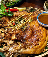 �ʺ�����Ե����ϲˣ��������źÿ�θ���޷���̫��