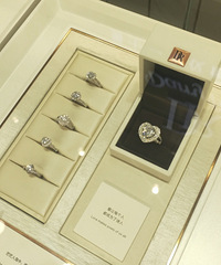 ����DR���������䳤ʲô��������