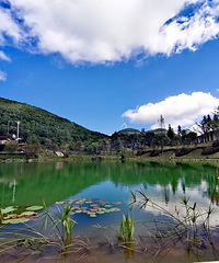 一小时经济圈,重庆人的避暑后花园