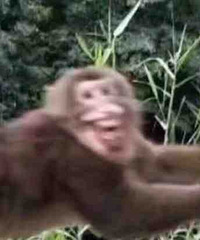 ֵ򡿳ǿ10022СǺ330